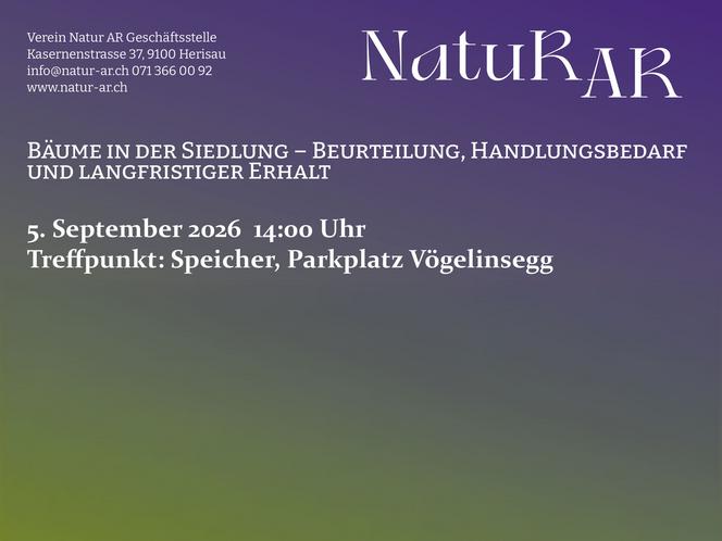 Bäume in der Siedlung