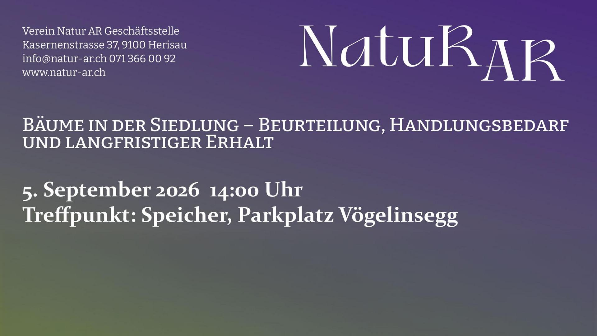 Bäume in der Siedlung
