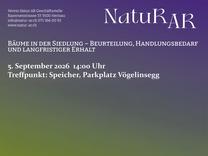 Bäume in der Siedlung