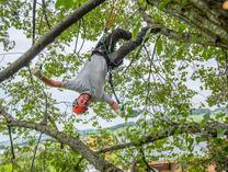 Res Ramsauer, Inhaber Baumwelt