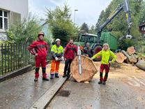 Baumfällung Kreuzstrasse Herisau - Team Baumwelt AG