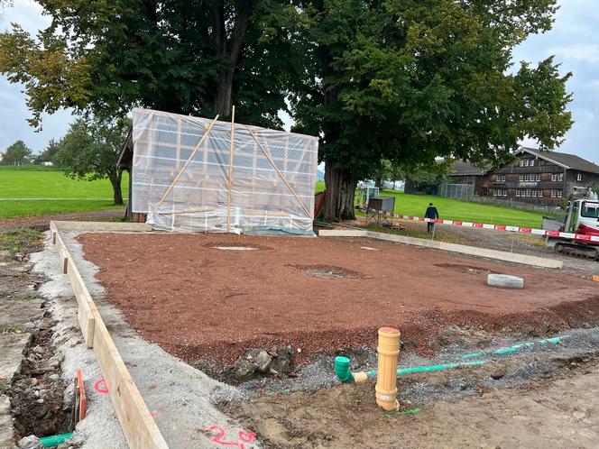 Baumschutz Frühling 2026