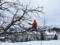 Lucca Taravella am klettern