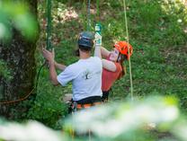 Baumklettern mit Baumwelt AG 