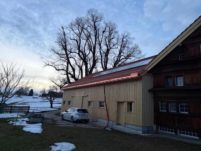 Baumschutz Frühling 2026