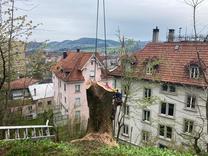 Kranfällung Esche St.Gallen