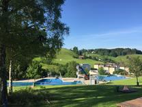 Sommerschnitt an einer Birke